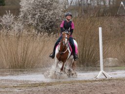web-8703